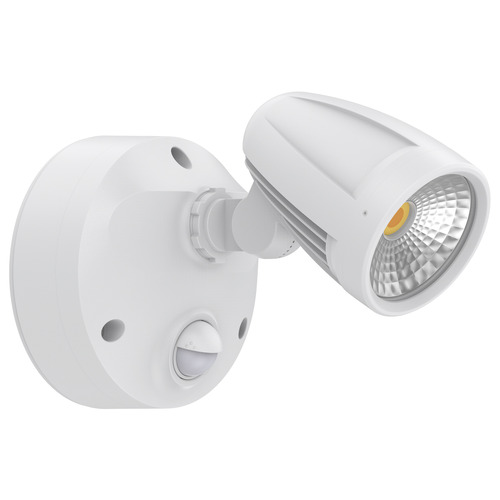 Hailee Security Light with Sensor