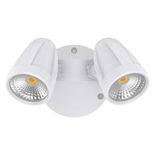 Hailee Double Security Light
