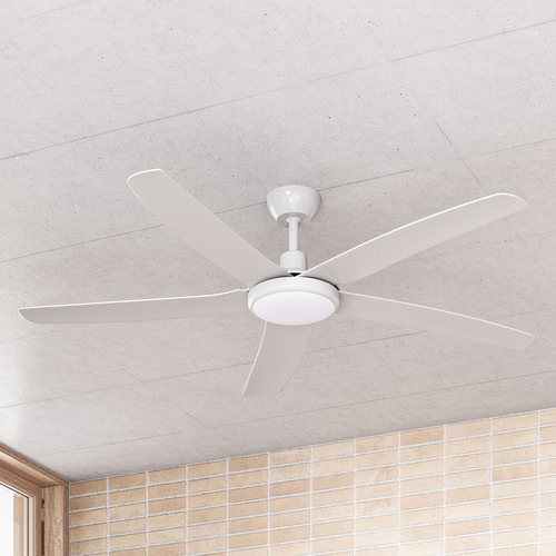 142cm Lethe DC Ceiling Fan with LED