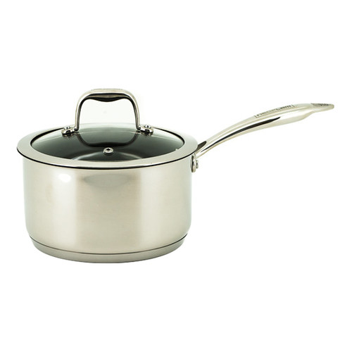 Classic Stainless Steel 20cm Induction Saucepan Temple & ster