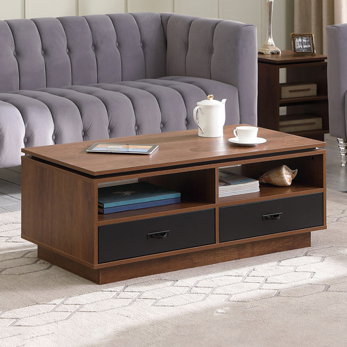 Artemis 2 Drawer Coffee Table