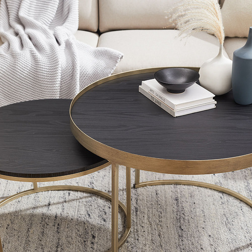 2 Piece Gaia Nesting Coffee Table Set