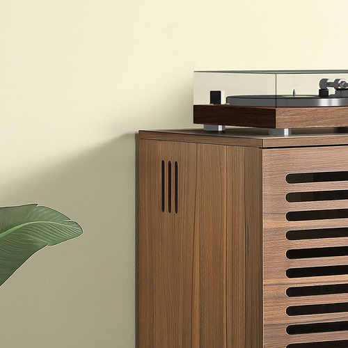 Carina Hi-Fi Rack
