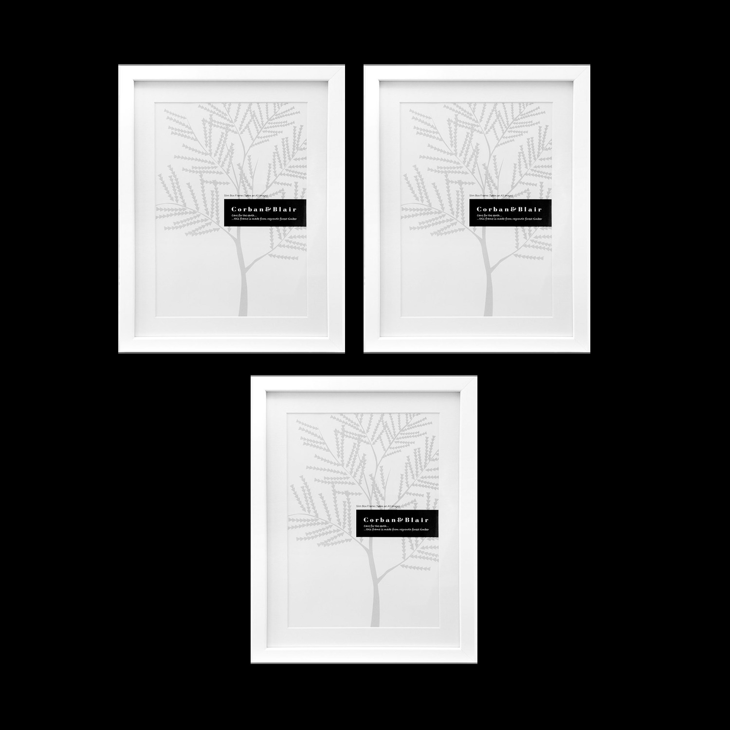 3 Piece A3 Slim box Gallery Wall Set