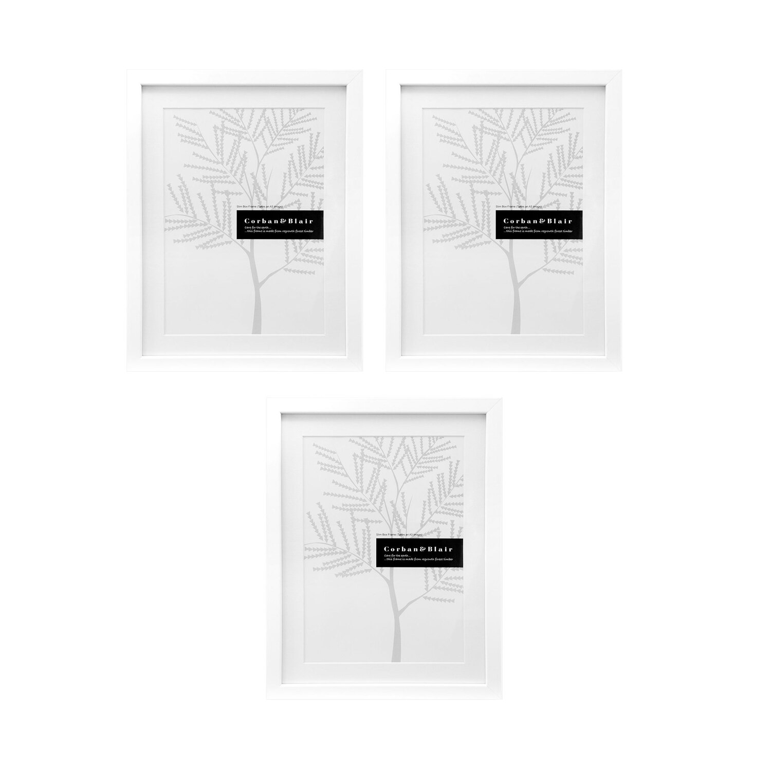 3 Piece A3 Slim box Gallery Wall Set
