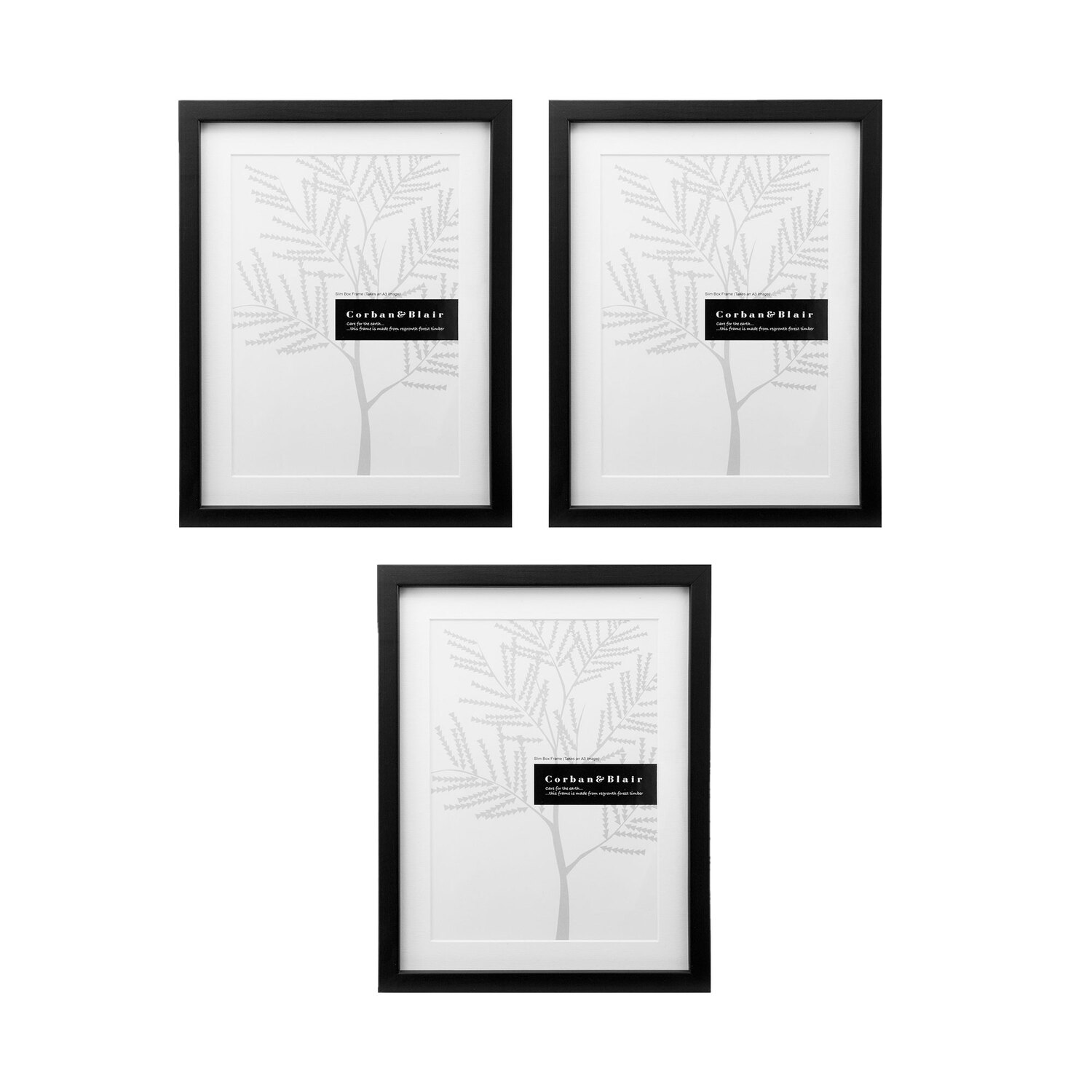 3 Piece A3 Slim box Gallery Wall Set