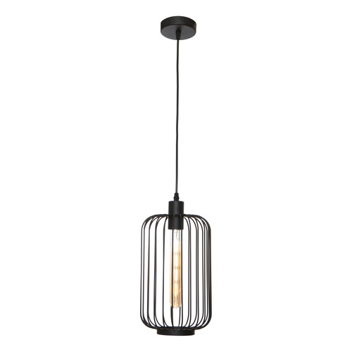 Hollett Steel Pendant Light