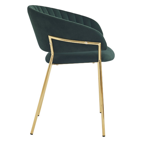 HomestarFurniture Amaltheia Velvet Dining Chairs | Temple & Webster