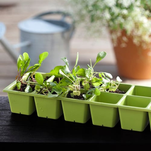 Urban Bloomer Outdoor Planters