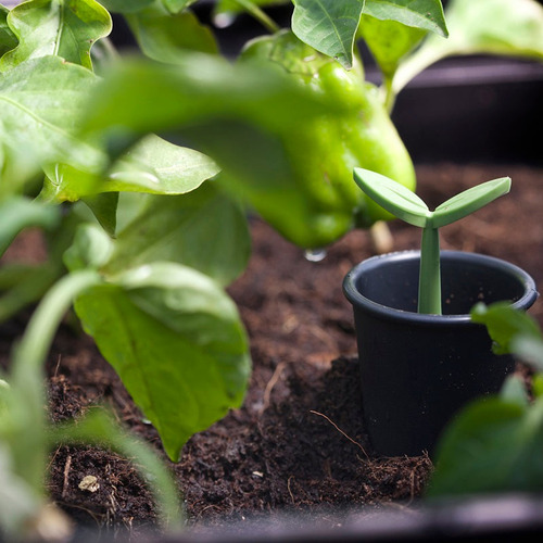 Urban Bloomer Outdoor Planters
