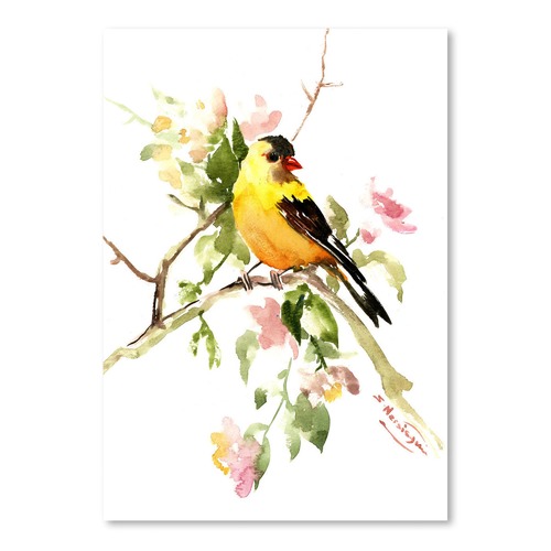 StateStudio American Goldfinch Songbird Printed Wall Art | Temple & Webster