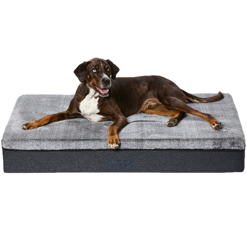 Snooza Snooza Chinchilla Big Dog Bed | Temple & Webster