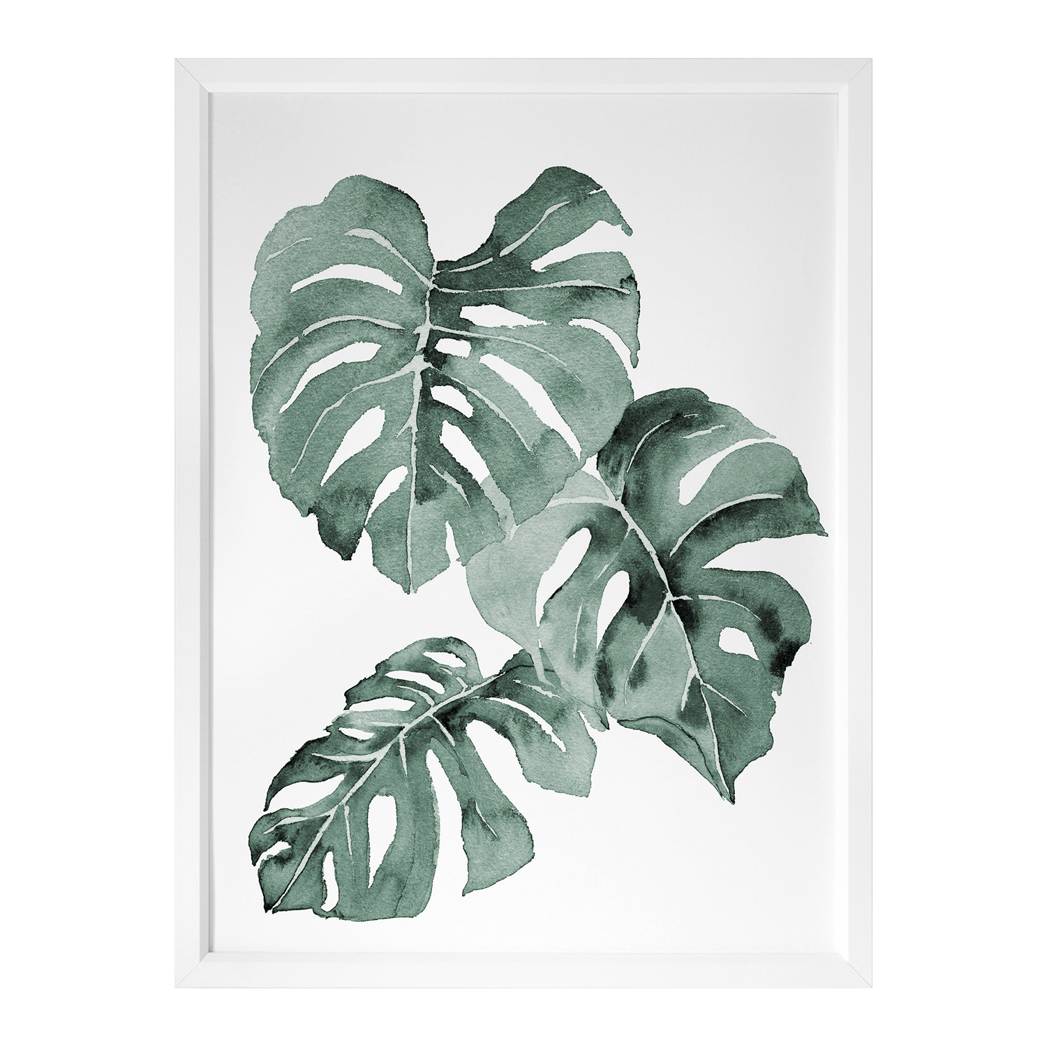 Zulu Monstera Framed Printed Wall Art