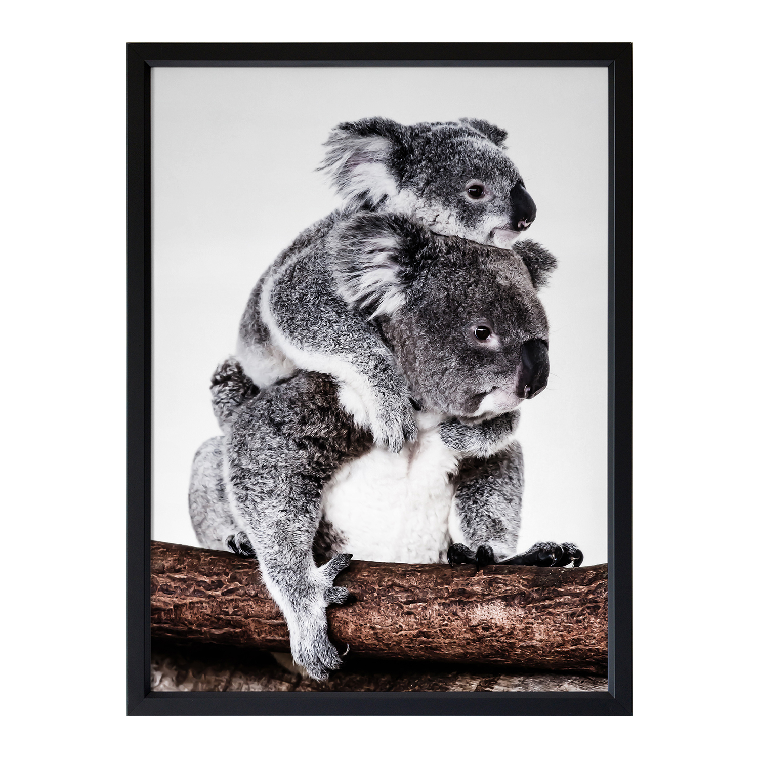 Mama Bear Framed Printed Wall Art