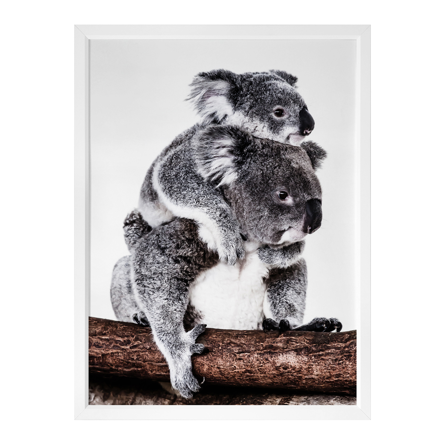 Mama Bear Framed Printed Wall Art