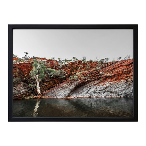 By The Billabong Framed Printed Wall Art
