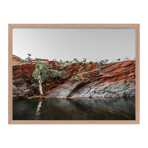 By The Billabong Framed Printed Wall Art