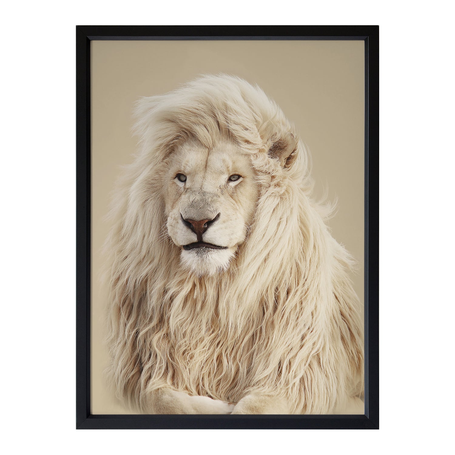 Lion King Framed Printed Wall Art