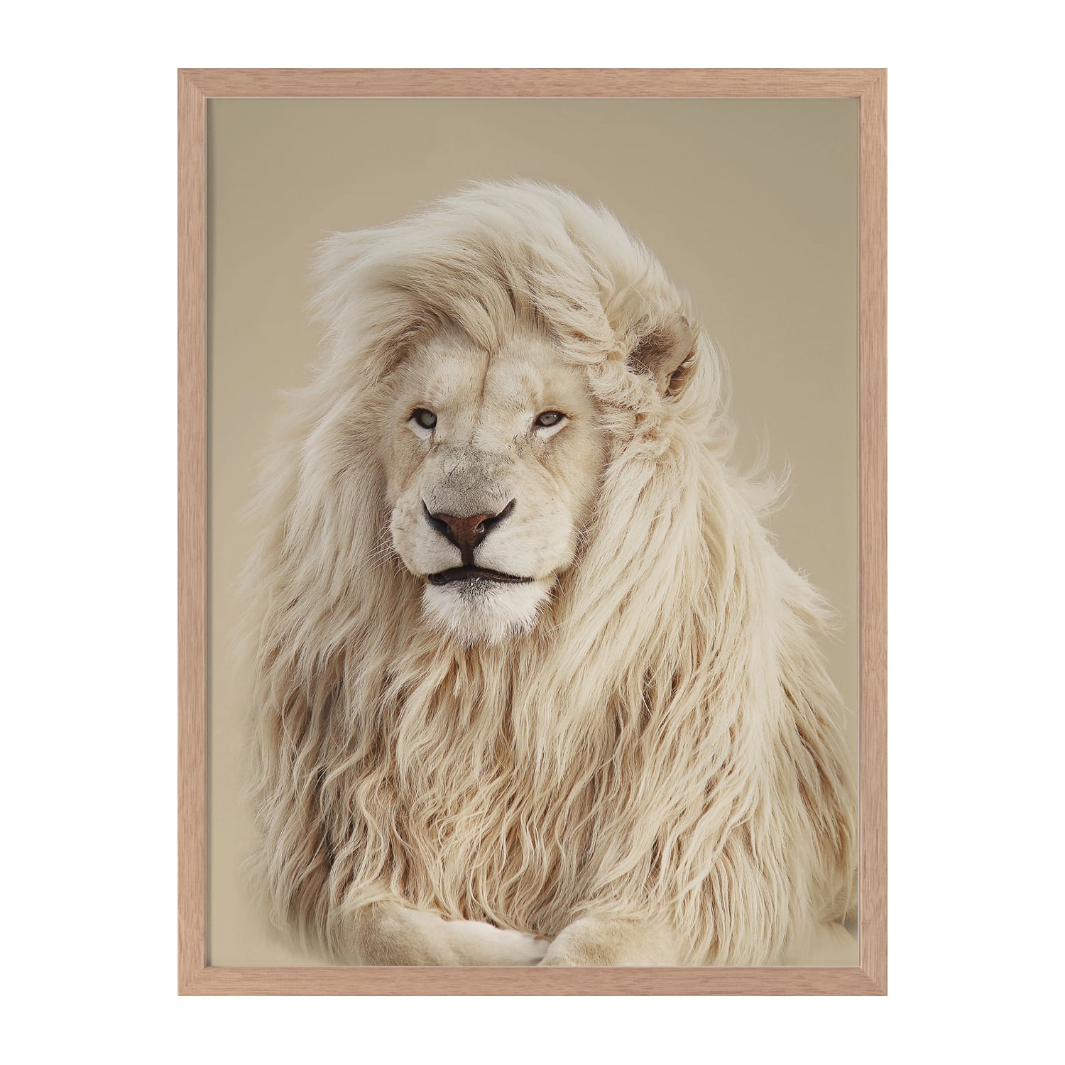 Lion King Framed Printed Wall Art