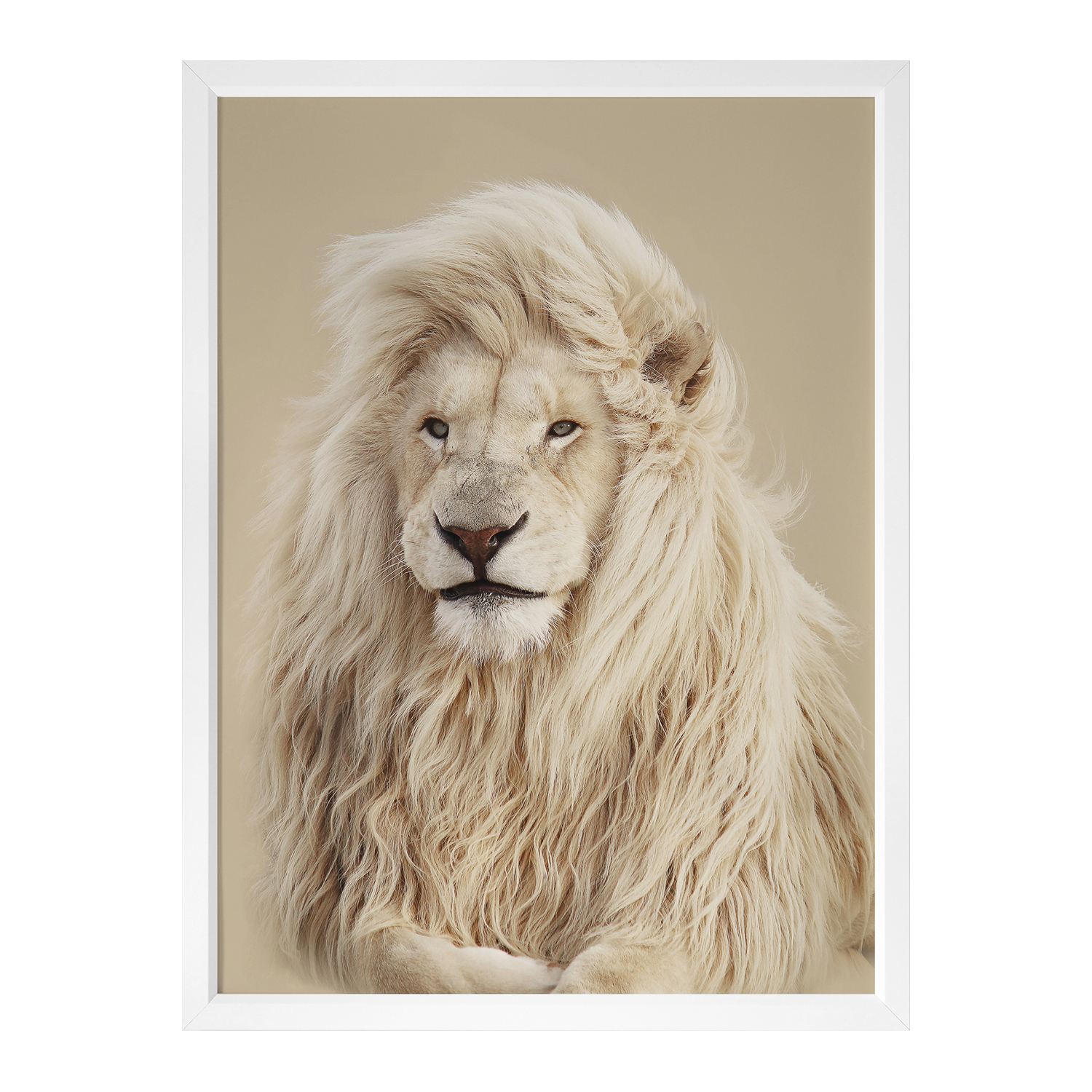 Lion King Framed Printed Wall Art