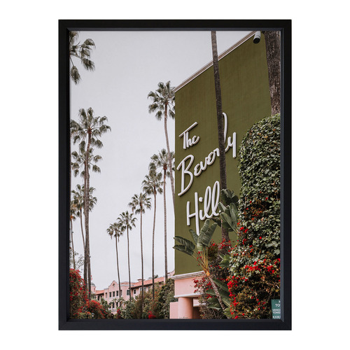 Alcove Studio The Beverly Hills Hotel Framed Printed Wall Art Temple