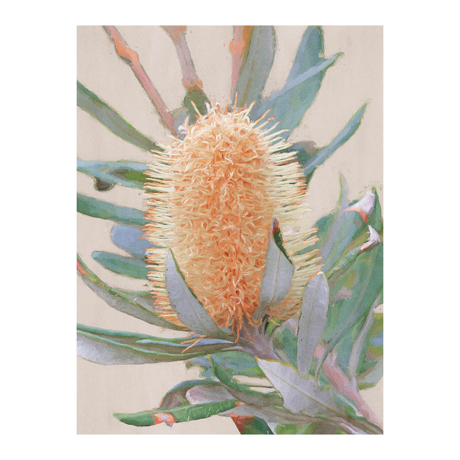 Golden Banksia Canvas Wall Art