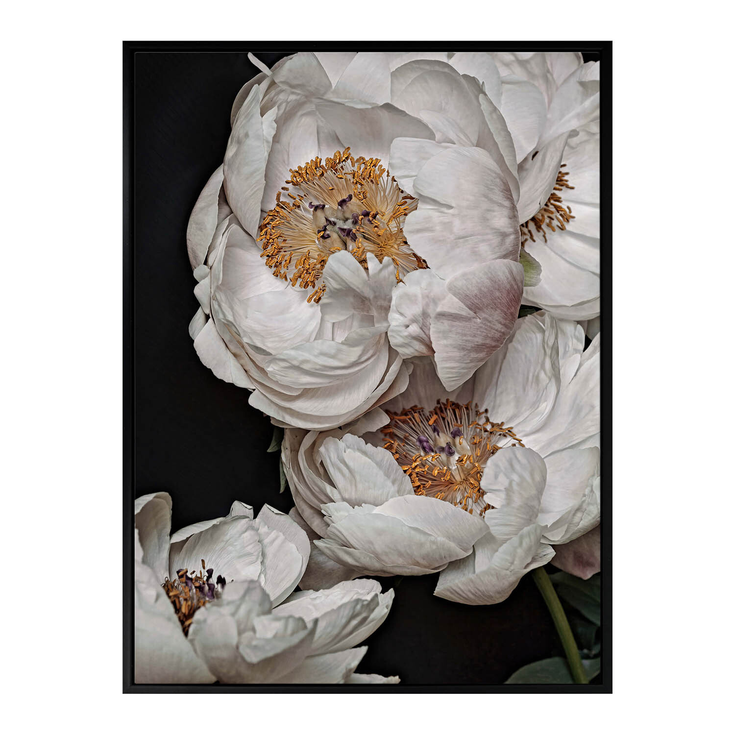 Clair de Lune Canvas Wall Art