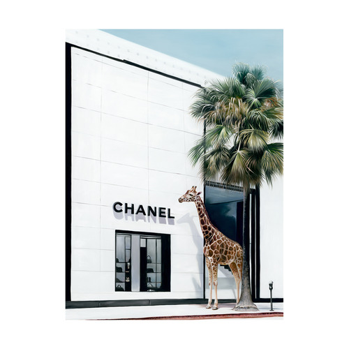 Rodeo Drive Canvas Wall Art