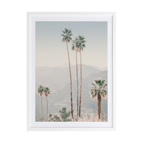 Palm Springs II Framed Printed Wall Art Temple & ster
