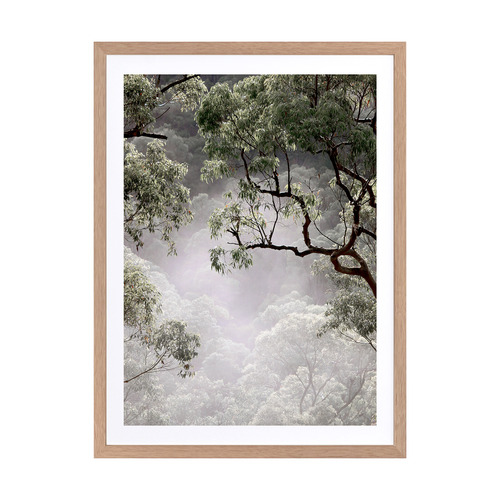 Misty Gum Tree Framed Printed Wall Art