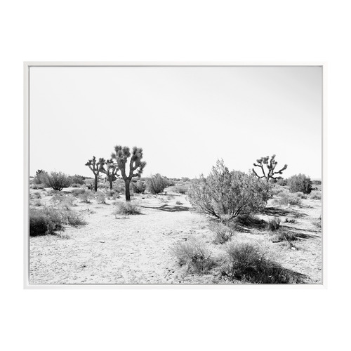 Joshua Tree Canvas Wall Art Temple & ster