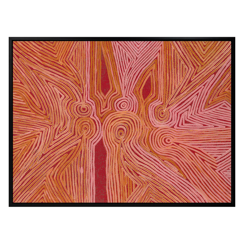 Mina Mina Jukurrpa III Framed Canvas Wall Art
