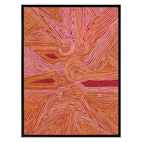 Mina Mina Jukurrpa III Framed Canvas Wall Art