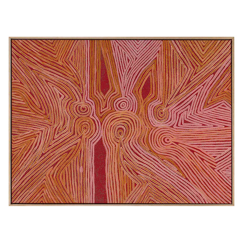 Mina Mina Jukurrpa III Framed Canvas Wall Art