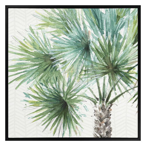 Date Palm II Canvas Wall Art