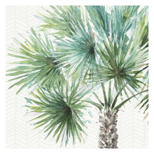 Date Palm II Canvas Wall Art