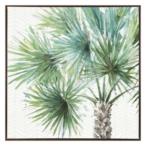 Date Palm II Canvas Wall Art