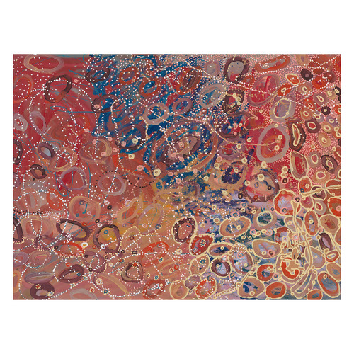 Janganpa Jukurrpa Canvas Wall Art