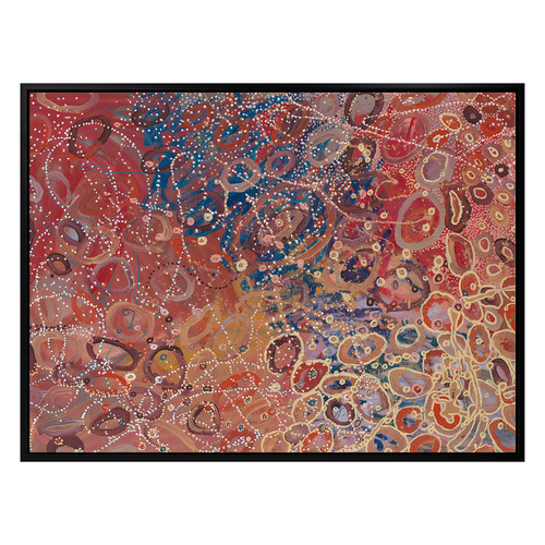 Janganpa Jukurrpa Canvas Wall Art