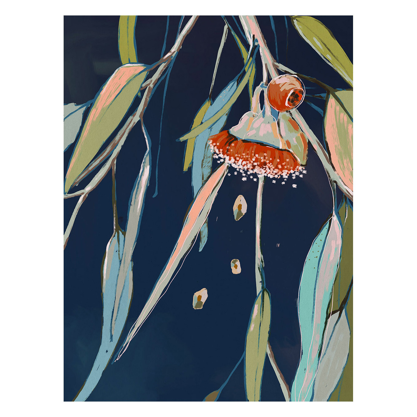 Coral Flowering Gum Canvas Wall Art