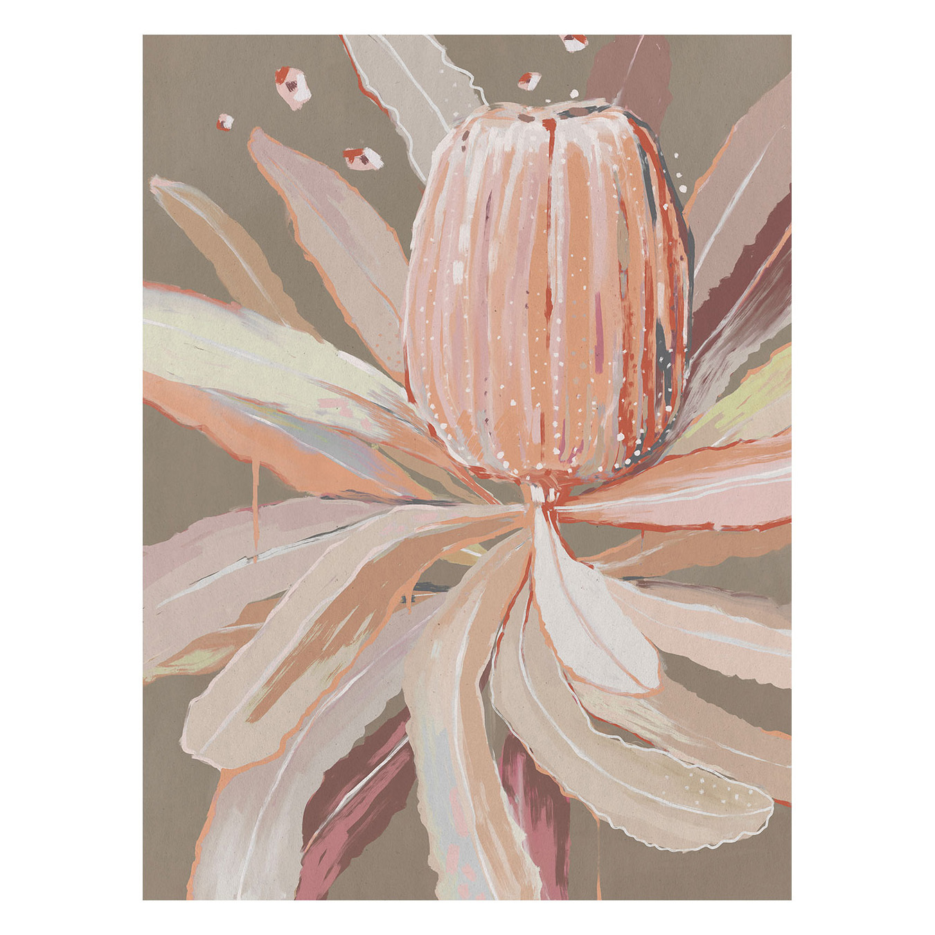 Peach Banskia Canvas Wall Art
