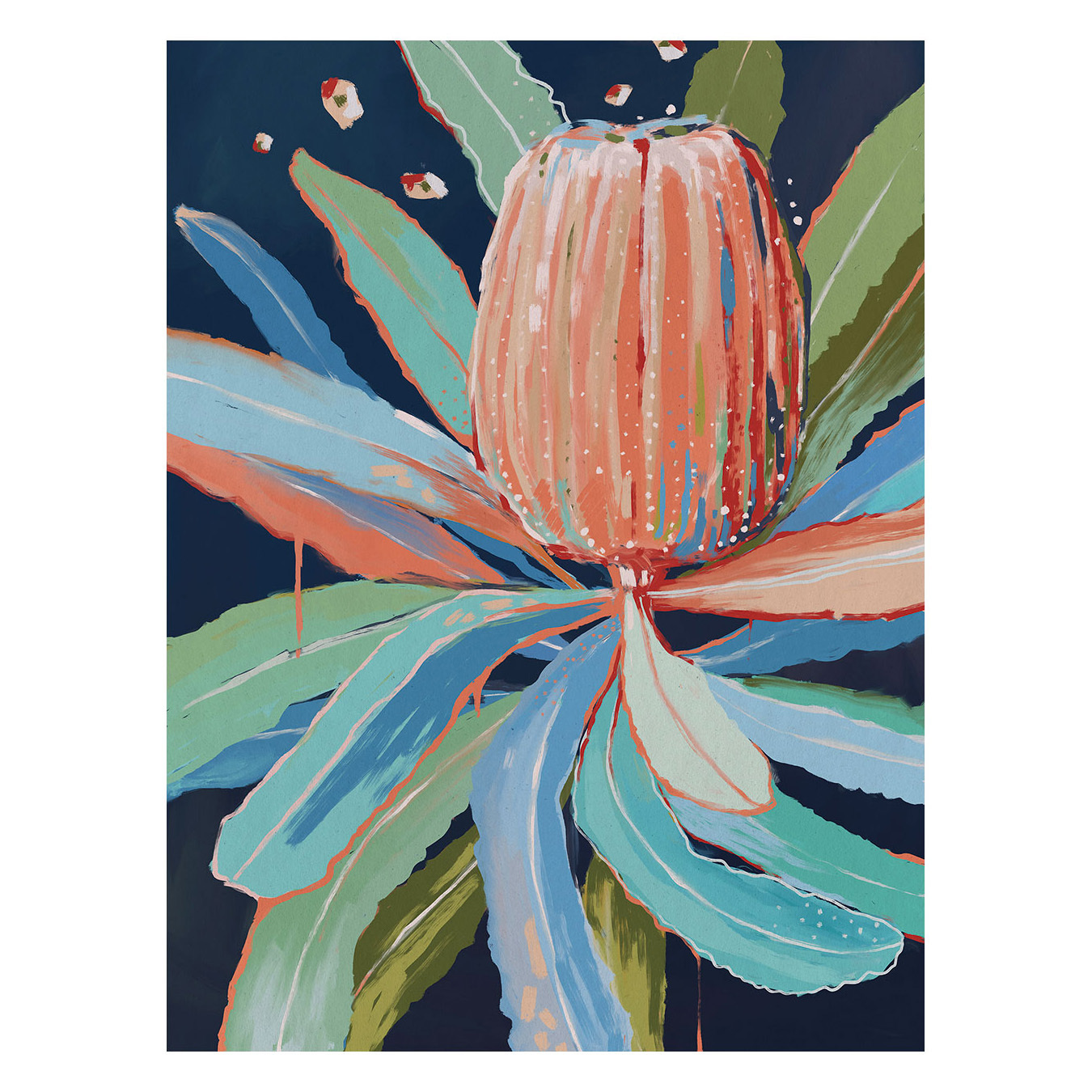 Coral Banksia Canvas Wall Art