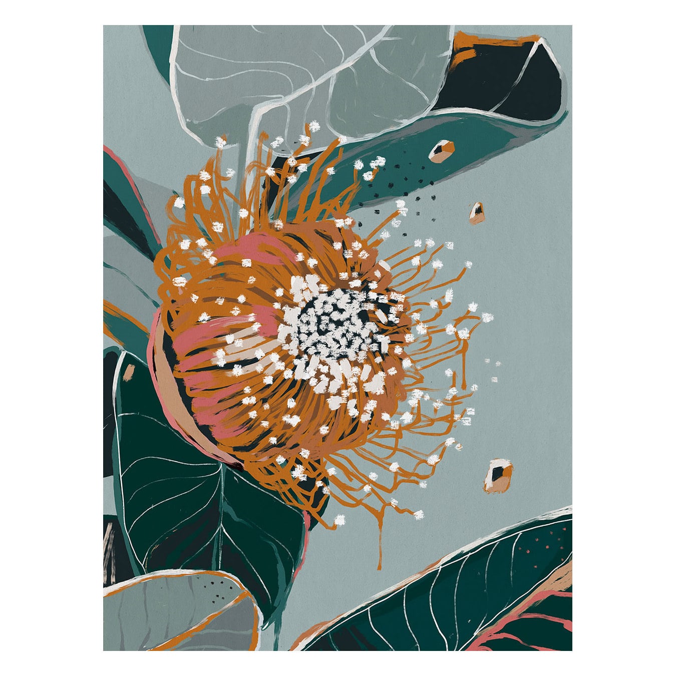Dusty Flowering Gum II Canvas Wall Art