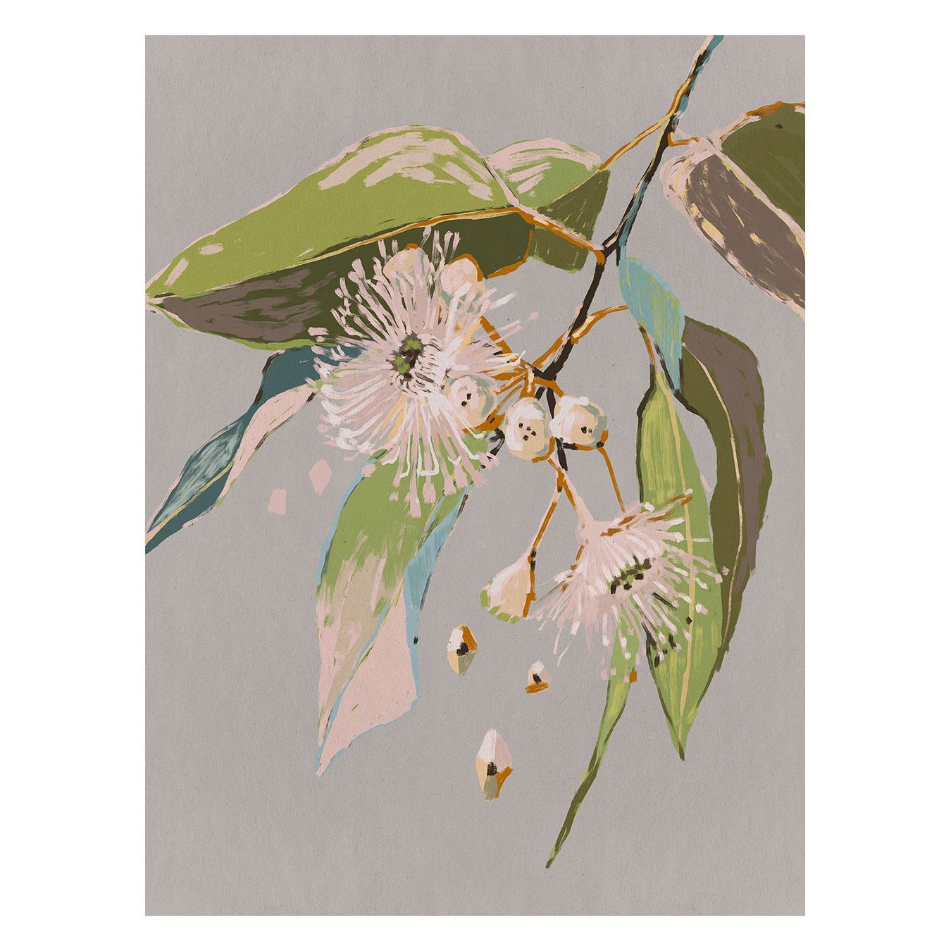 Neutral Flowering Gum II Canvas Wall Art