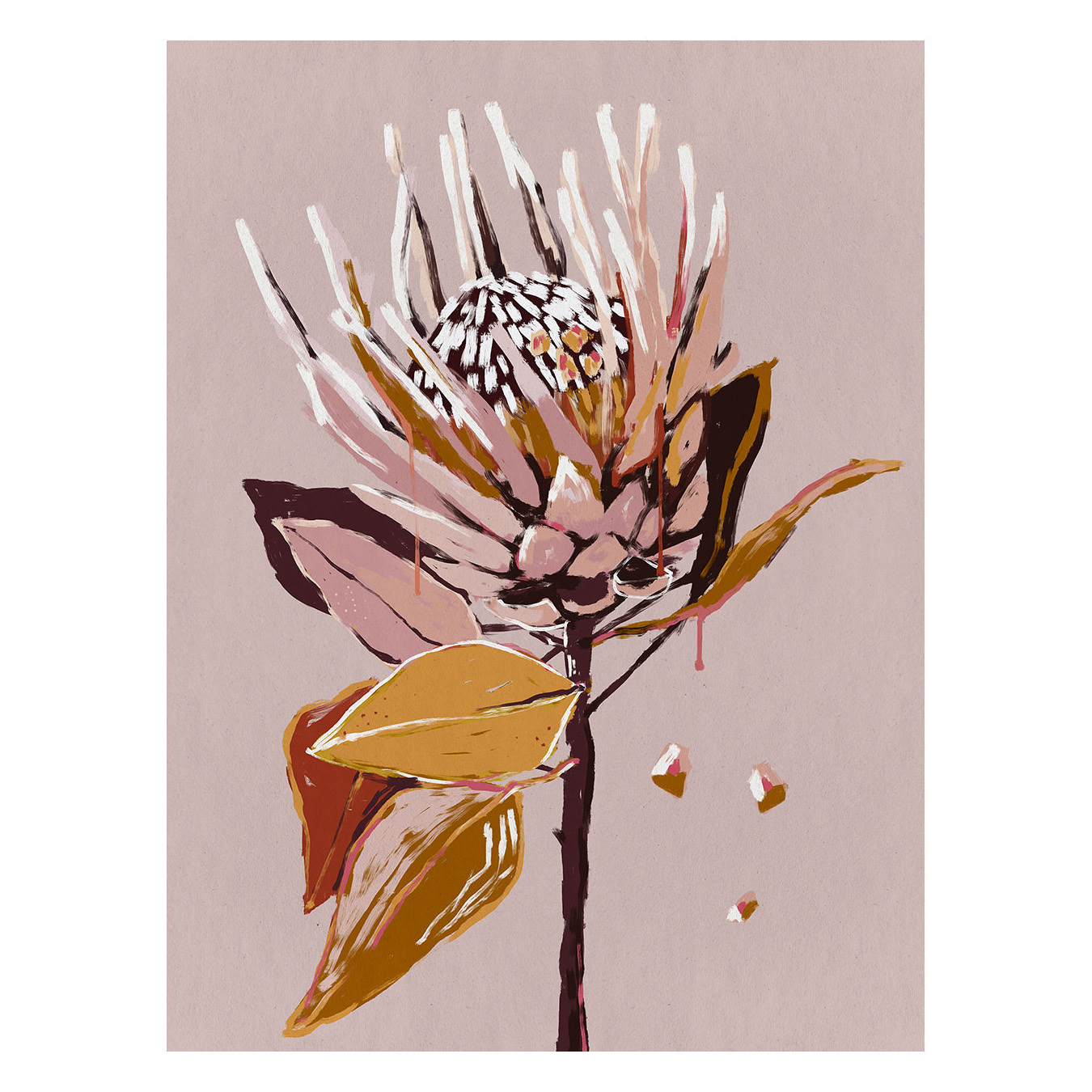 Blush Protea Canvas Wall Art
