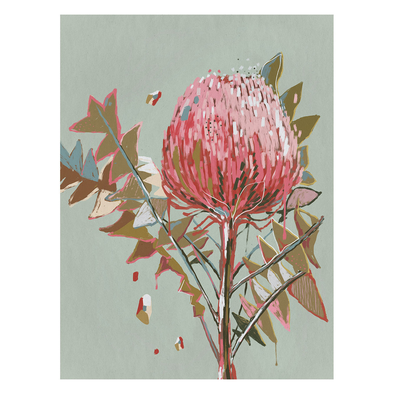 Sage Waratah Canvas Wall Art