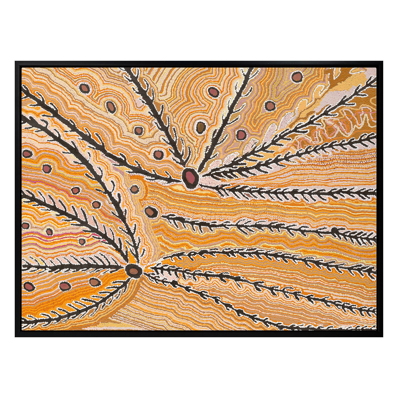 Wakirlpirri Jukurrpa Ochre Canvas Wall Art