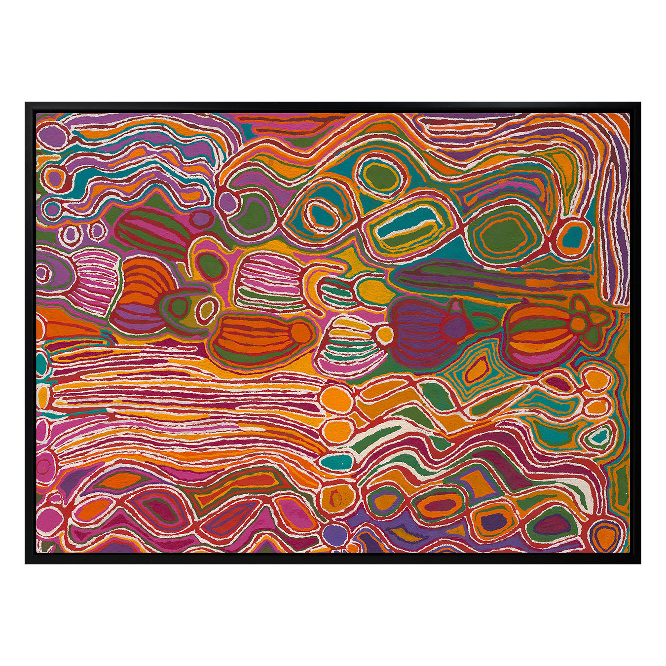 Mina Mina Jukurrpa VIII Pink Canvas Wall Art