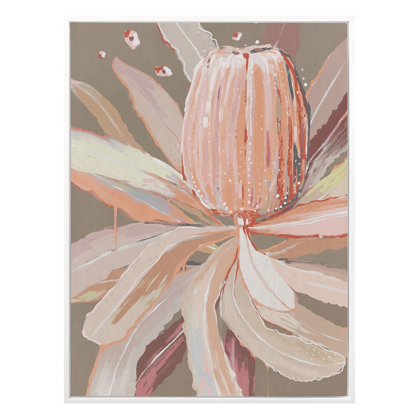 Peach Banskia Canvas Wall Art