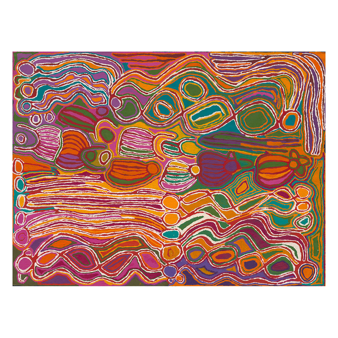 Mina Mina Jukurrpa VIII Pink Canvas Wall Art